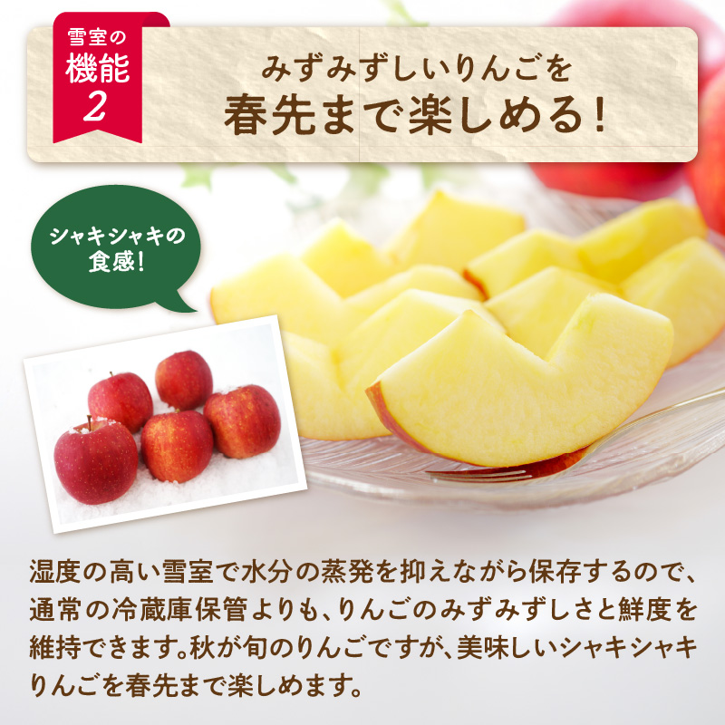 《先行受付》【2027年3月発送予定】 訳あり 雪室りんごサンふじ 約5kg【大江町産・山形りんご・大地農産】