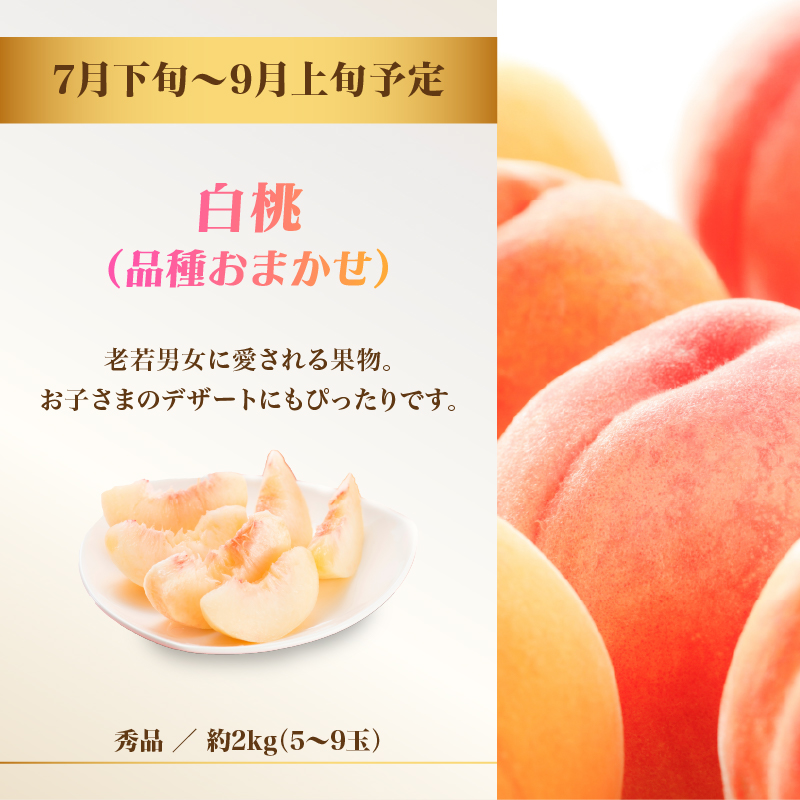 060-T11 山形フルーツ人気メドレー便【定期便全5回】