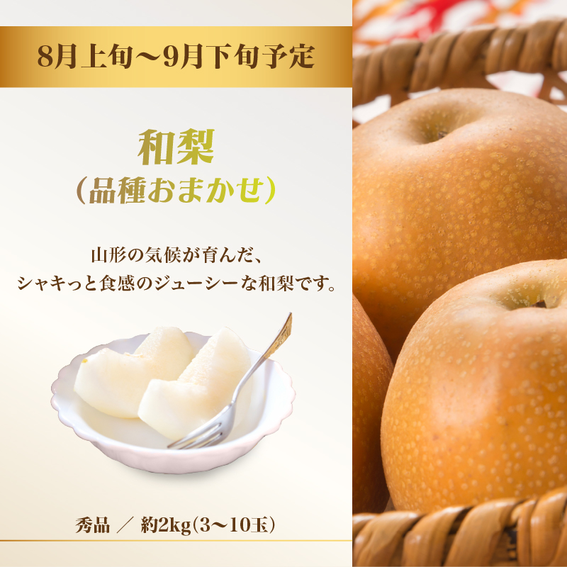 060-T11 山形フルーツ人気メドレー便【定期便全5回】