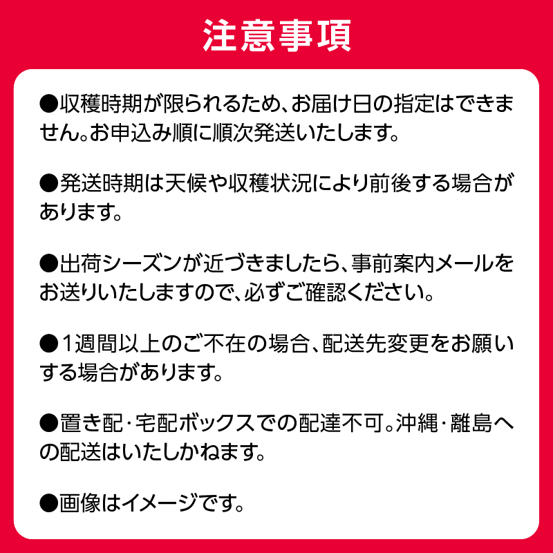 060-T11 山形フルーツ人気メドレー便【定期便全5回】