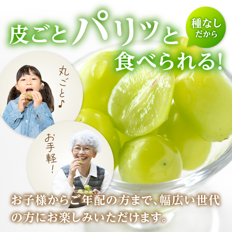 《先行受付》★山形産シャインマスカット★約700g以上(1～2房)秀品【2026年9月頃～順次発送予定】