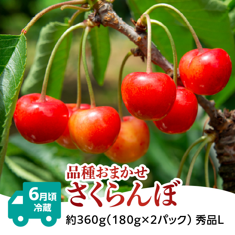 【発送月固定】山形旬彩！こだわりフルーツ定期便全３回Ｃ