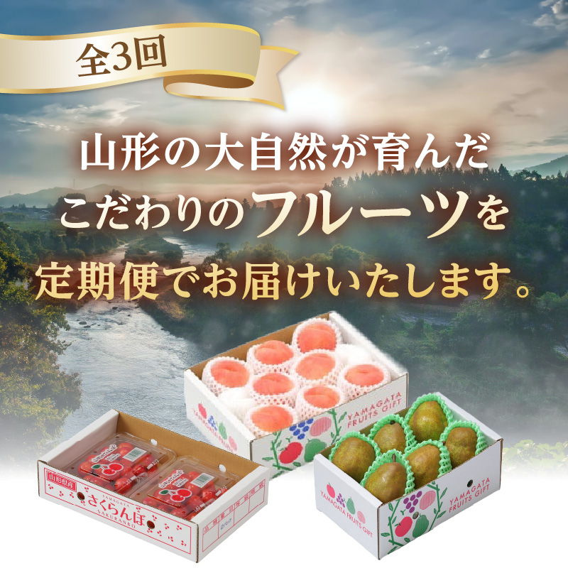 【発送月固定】山形旬彩！こだわりフルーツ定期便全３回Ｃ