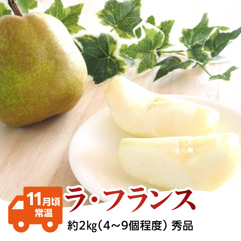 【発送月固定】山形旬彩！こだわりフルーツ定期便全３回Ｃ