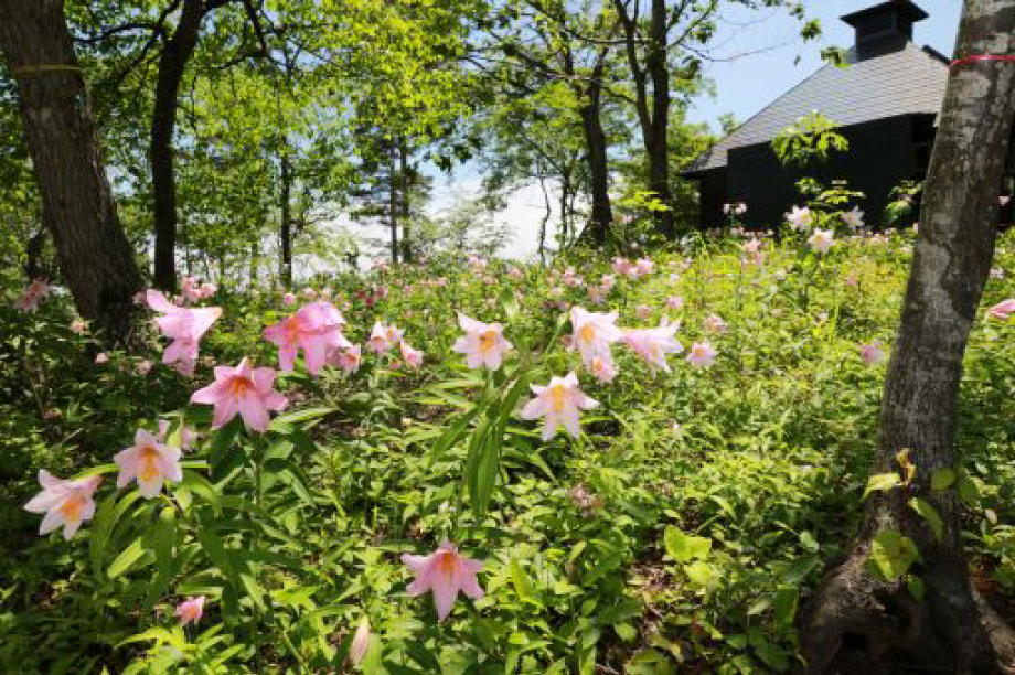 環境の保全に関する事業