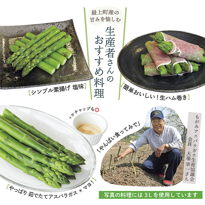 【令和8年産予約】最上町特産グリーンアスパラ2Lサイズ1kg