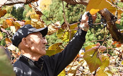 譛荳顔伴逕」螻ア縺カ縺ゥ縺蜴滓カイ2譛ャ繧サ繝繝