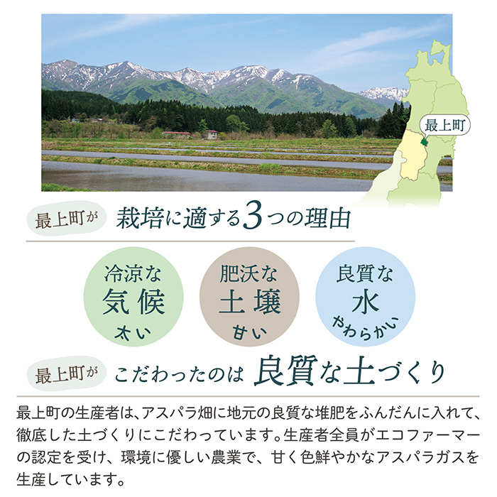 【令和8年産予約】最上町特産グリーンアスパラ2kg