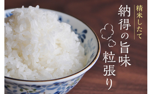 莉、蜥7蟷エ逕」 螻ア蠖「逵 譛荳顔伴逕」 迚ケ蛻・譬ス蝓ケ邀ウ 縺ッ縺医〓縺 5kg