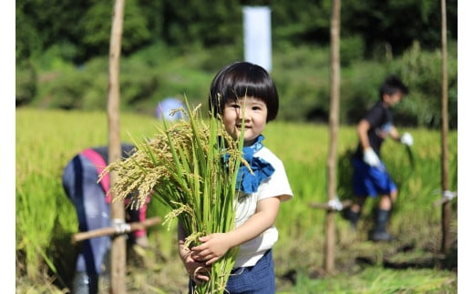 譛荳顔伴縺ョ蝨ー驟偵縲悟アア縺ィ豌エ縺ィ縲√咲函蜴滄偵2譛ャ