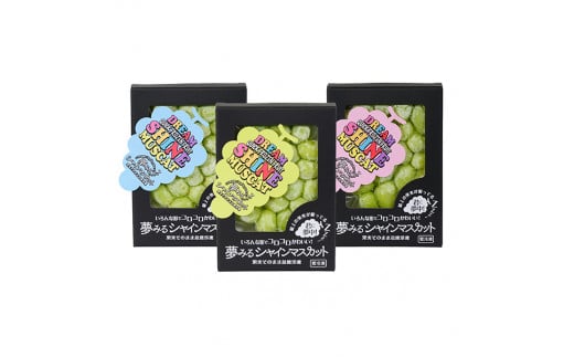 瞬間冷凍シャインマスカット2箱