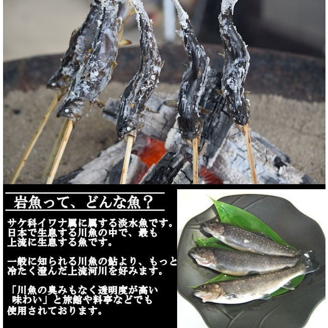 西塚農場産岩魚冷凍30尾(腹抜き)
