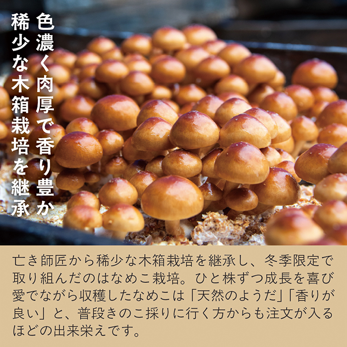 【予約返礼品】最上町産 菌床なめこ300ｇ×3袋