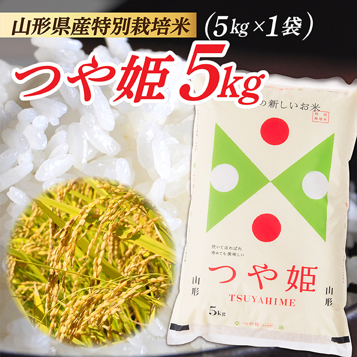 莉、蜥7蟷エ逕」縲螻ア蠖「逵檎肇 迚ケ蛻・譬ス蝓ケ邀ウ 縺、繧蟋ォ5kg (5kgテ1陲)