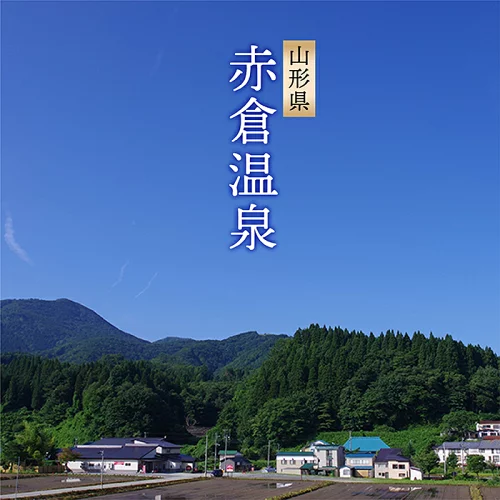 赤倉温泉利用券