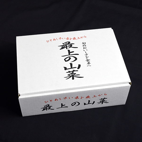 【季節商品】最上町産たらの芽