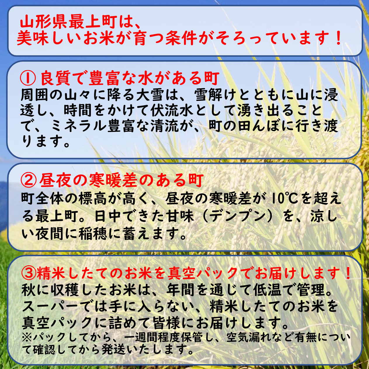 莉、蜥7蟷エ逕」 縲千┌豢礼アウ縲第怙荳顔伴逕」 繝帙ち繝ォ邀ウ髮ェ闍・荳ク10kg(5kgテ2陲)
