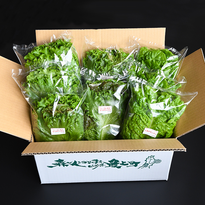 野菜ソムリエ中嶌さんのレタスセット