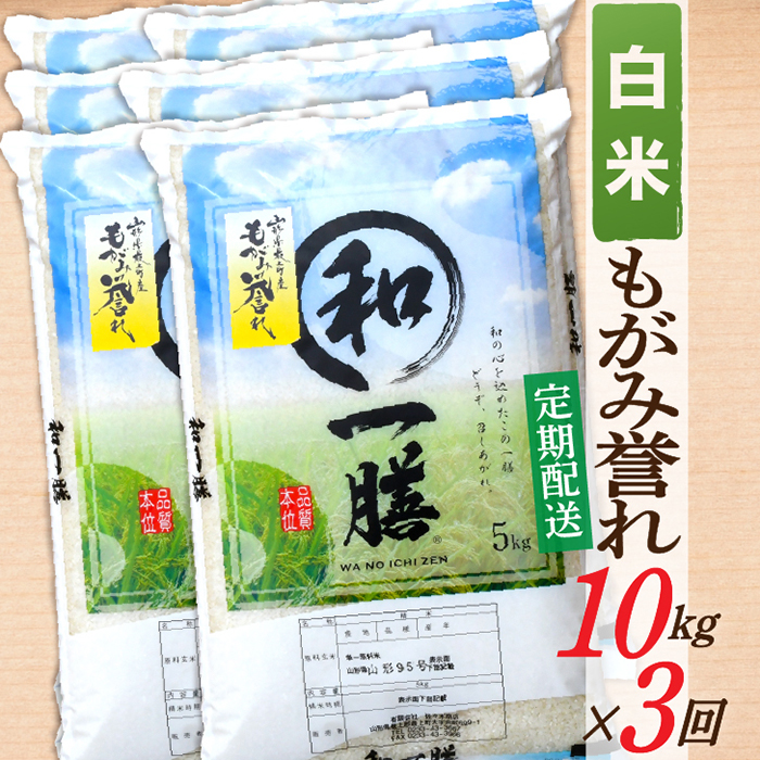 【定期便】【白米】 令和7年産 もがみ誉れ 10kg (5kg×2) 3回配送