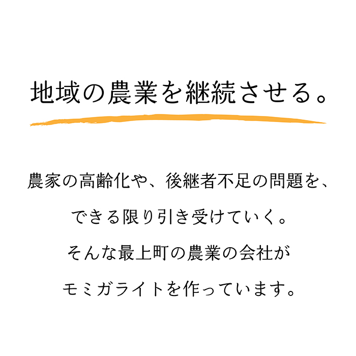 モミガライト約22kg(着火剤付き)