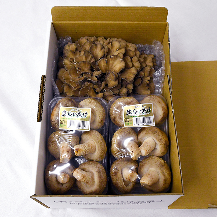 譛荳顔伴逕」縺ソ縺。縺ョ縺上∪縺縺溘¢縺ィ讀手減繧サ繝繝