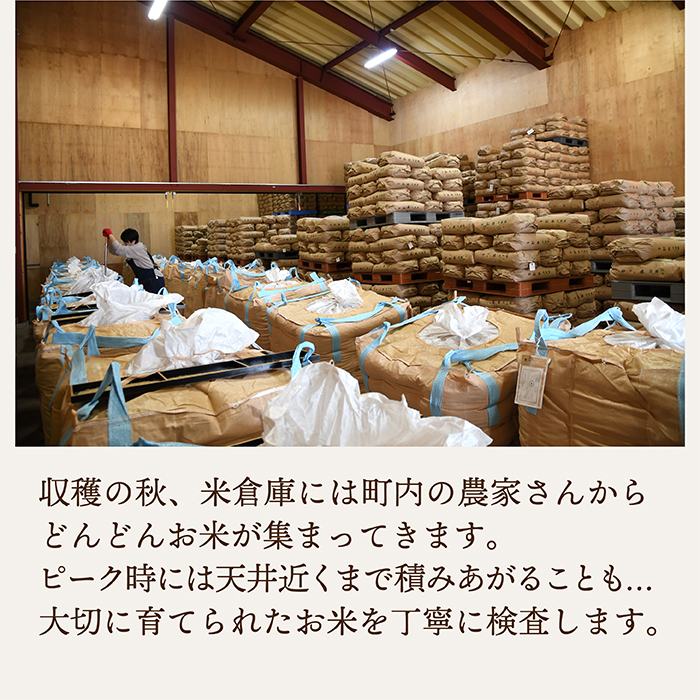 【令和7年産】「白米」山形県産　特別栽培米つや姫2kg