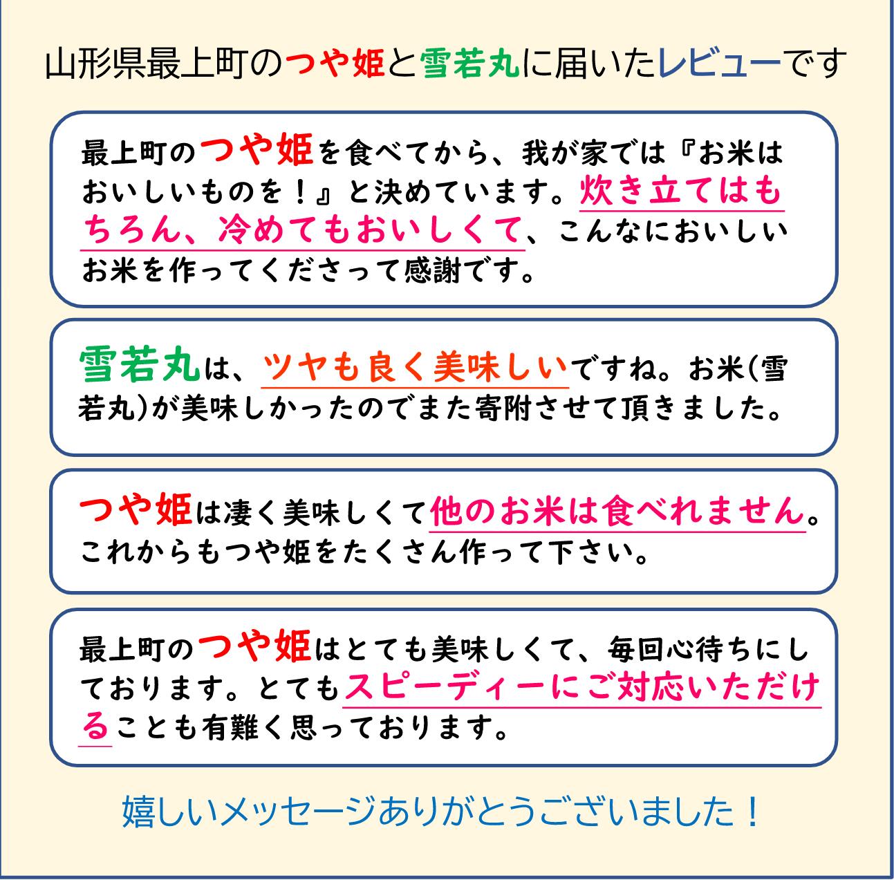 莉、蜥7蟷エ逕」縲螻ア蠖「逵檎肇 髮ェ闍・荳ク 5kg (5kgテ1陲)