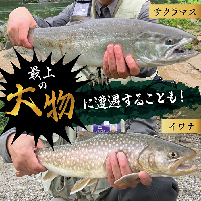 【最上町×舟形町共通返礼品】最上小国川　遊漁券（年券）【令和8年4月1日〜令和9年3月31日】鮎釣り 全魚種
