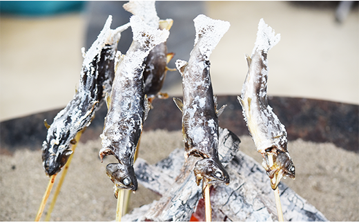 西塚農場産岩魚冷凍10尾(腹抜き)