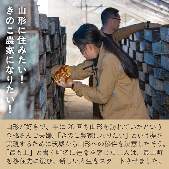 【予約返礼品】最上町産 菌床なめこ300ｇ×3袋