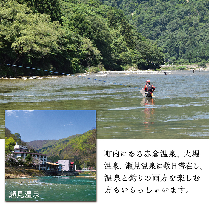 【最上町×舟形町共通返礼品】最上小国川　遊漁券（年券）【令和8年4月1日〜令和9年3月31日】鮎釣り 全魚種