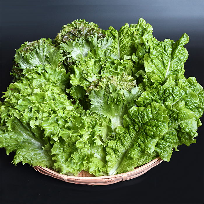 野菜ソムリエ中嶌さんのレタスセット