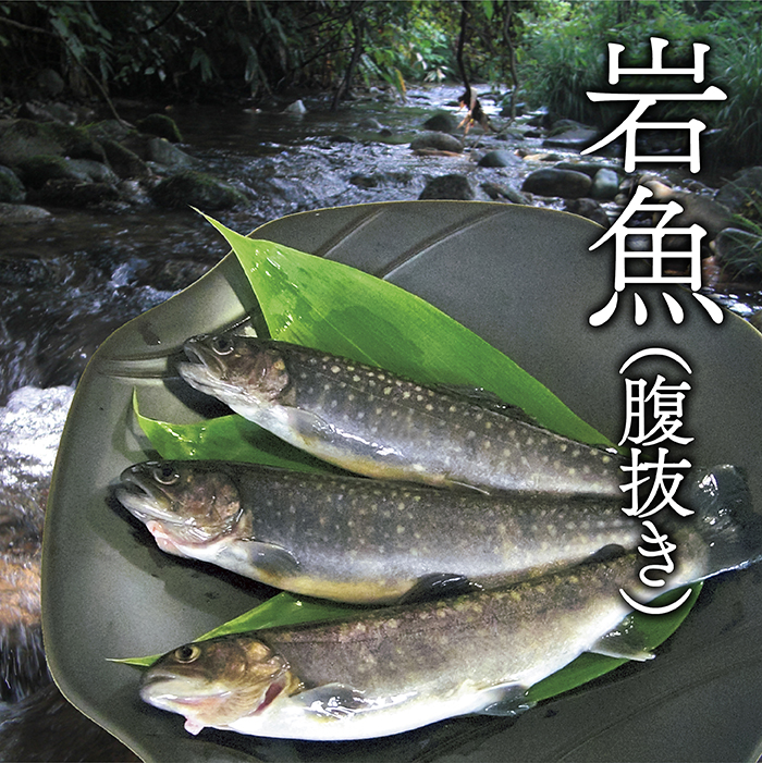 西塚農場産岩魚冷凍20尾(腹抜き)