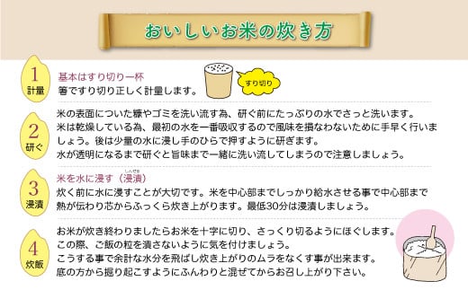 ＜令和6年産米＞ 令和7年4月上旬より配送開始 コシヒカリ【白米】60kg定期便(10kg×6回)　大蔵村