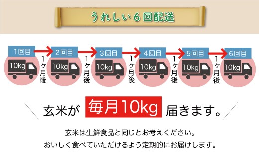 ＜令和6年産米＞ 令和7年4月上旬より配送開始 コシヒカリ【玄米】60kg定期便(10kg×6回)　大蔵村