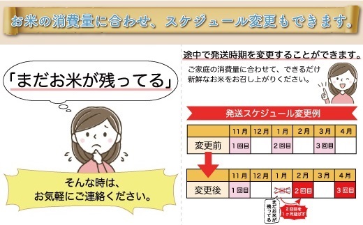 ＜令和6年産米＞ 山形県産 コシヒカリ【白米】60kg定期便(20kg×3回)　お申込みから2週間程度でお届け