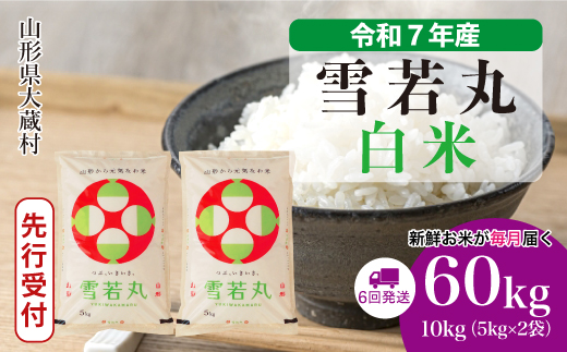 ＜令和7年産米先行受付＞ 令和8年2月下旬より発送 大蔵村産 雪若丸【白米】60kg定期便(10kg×6回)　