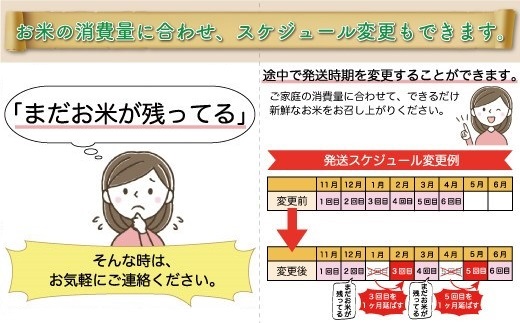 ＜令和6年産米＞ 令和7年3月上旬より配送開始 はえぬき【白米】60kg定期便(10kg×6回)　大蔵村