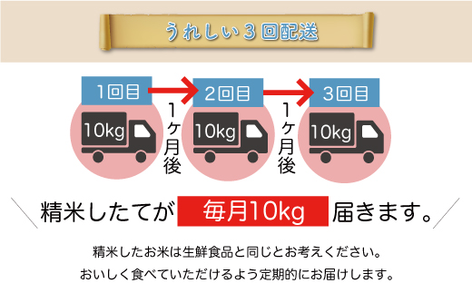 ＜令和6年産米＞ 山形県産 コシヒカリ【無洗米】30kg定期便 (10kg×3回)　お申込みから2週間程度でお届け