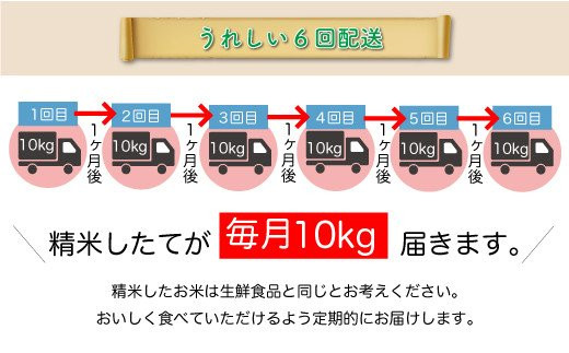 ＜令和7年産米先行受付＞ 令和7年12月上旬より発送 大蔵村産 雪若丸【白米】60kg定期便(10kg×6回)　