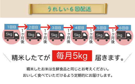 ＜令和7年産米先行受付＞ 大蔵村産 雪若丸 【無洗米】30kg定期便 (5kg×6回)　配送時期指定できます！