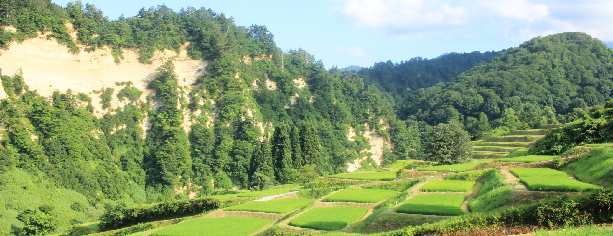 山形県大蔵村