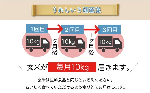 ＜令和6年産米＞ 令和7年3月上旬より配送開始 はえぬき【玄米】30kg 定期便 (10kg×3回) 大蔵村