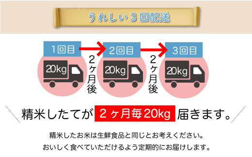 ＜令和7年産米先行受付＞ 令和7年11月上旬より発送 大蔵村産 はえぬき【無洗米】60kg定期便(20kg×3回)　