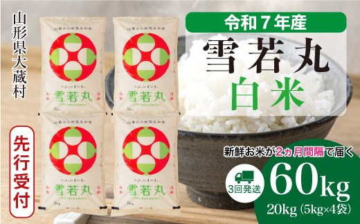 ＜令和7年産米先行受付＞ 令和8年2月下旬より発送 大蔵村産 雪若丸【白米】60kg定期便(20kg×3回)　