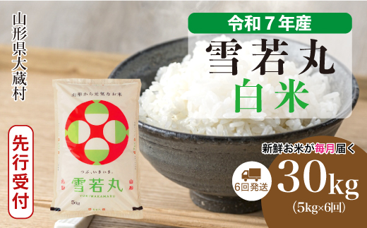 ＜令和7年産米先行受付＞ 令和7年12月中旬より発送 大蔵村産 雪若丸【白米】30kg定期便 (5kg×6回)　