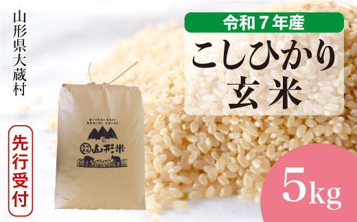 ＜令和7年産米先行受付＞ 令和7年11月下旬発送 大蔵村産 こしひかり 【玄米】 5kg （5kg×1袋） 