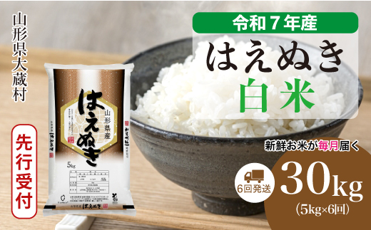 ＜令和7年産米先行受付＞ 令和7年12月中旬より発送 大蔵村産 はえぬき【白米】30kg定期便 (5kg×6回)　