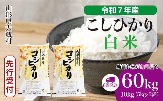 ＜令和7年産米先行受付＞ 令和8年1月下旬より発送 大蔵村産 こしひかり【白米】60kg定期便(10kg×6回)　