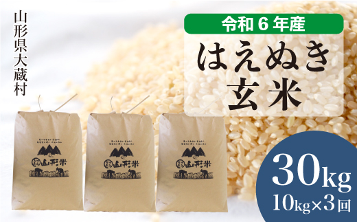 ＜令和6年産米＞ 令和7年2月上旬より配送開始 はえぬき【玄米】30kg 定期便 (10kg×3回) 大蔵村